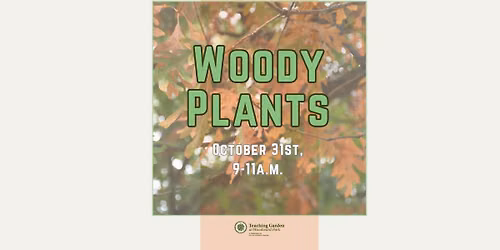 Woody Plants