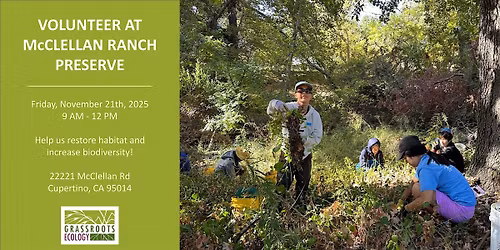 Volunteer Outside at McClellan Ranch Preserve