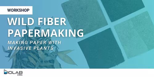 Wild fiber paper-making: making paper with invasive plants