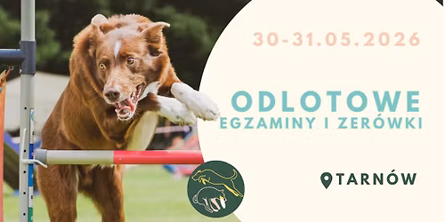 Odlotowe Egzaminy i Zer\u00f3wki 30-31.05.2026 Tarn\u00f3w|Kenzawana