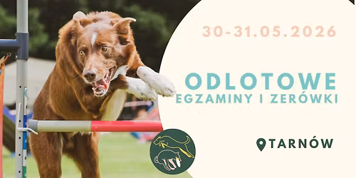 Odlotowe Egzaminy i Zer\u00f3wki 30-31.05.2026 Tarn\u00f3w|Kenzawana