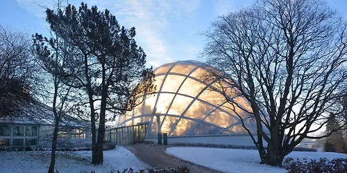 Jul i V\u00e6ksthusene 