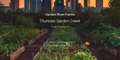 Thursday Garden Crawl - TBA