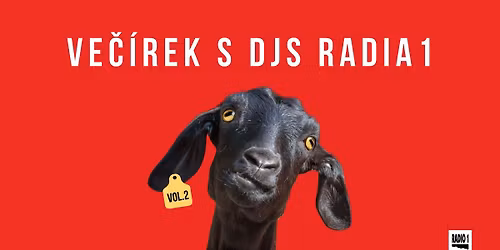 Ve\u010d\u00edrek s DJS RADIA 1