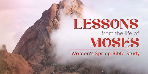 Women's Spring Bible Study - Morning