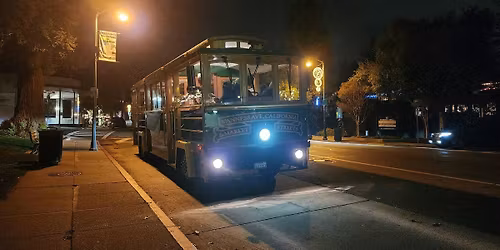 Festive Night at the Museum