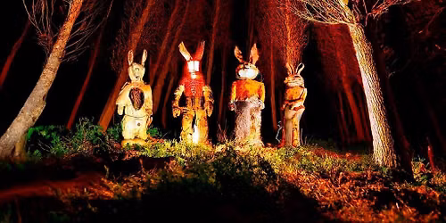 Echoes of the Bunnymen