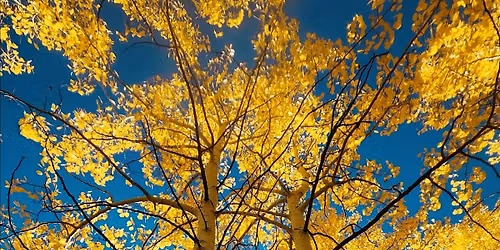 Fall Breathwork