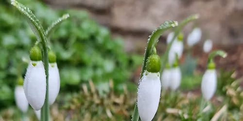 Oslava jara na Paruk\u00e1\u0159ce