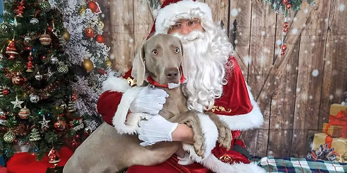 Photos with Santa Paws 2025