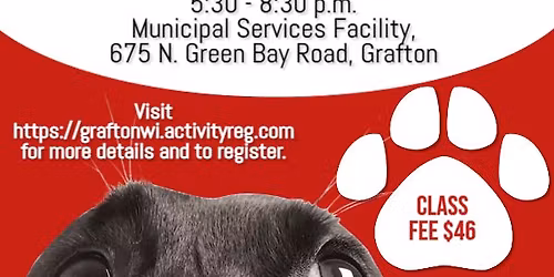 First Aid & CPR For Pets