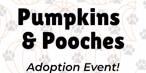 Pumpkins and Pooches