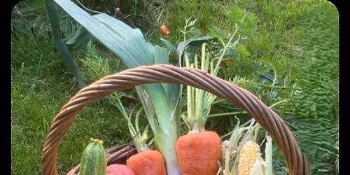 Oval Garden Basket workshop