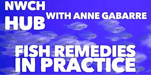 NWCH HUB: Fish Remedies in Practice