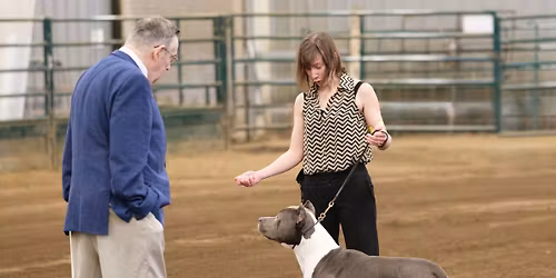 IABCA's 2026 Evergreen Summer International Dog Show