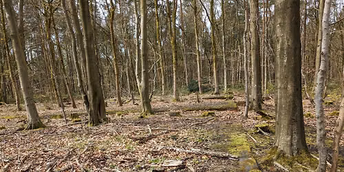 Conduit and Confinement - A Lodge Moor explore
