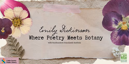 Emily Dickinson Where Poetry Meets Botany