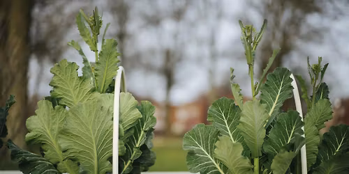 Growing Community: Preparing for Winter