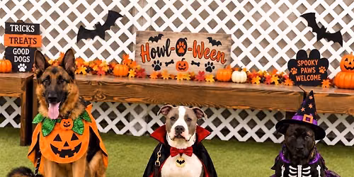 Custom Canines Howl-O-Ween