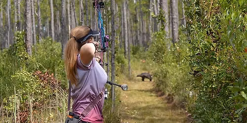 USA Archery Collegiate 3D Nationals