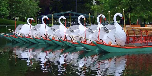 Parking Swan Lake - Boston