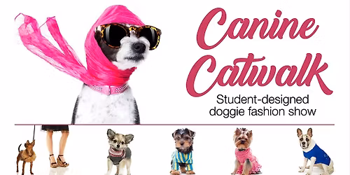 Canine Catwalk