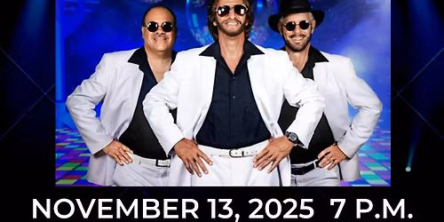 BEE GEES TRIBUTE - JIVE TALKIN