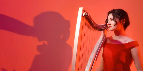 La harpe dans le noir - Naomi SV