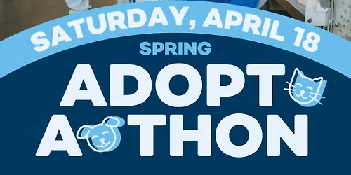 Vendor Booth at Petsense Sullivan Adoption Event 