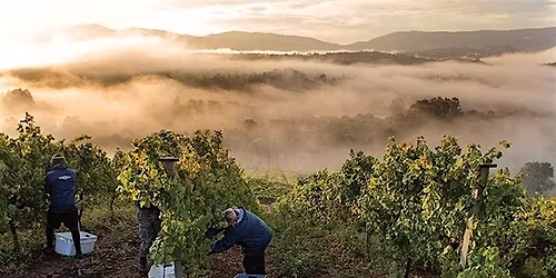 VINcabulary : Iberian Road Trip