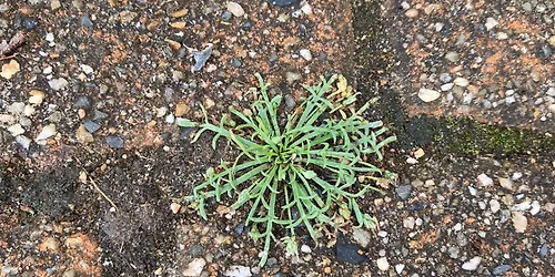 Everything is interesting