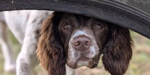 Non-Fire night Play Day! \ud83d\udd25