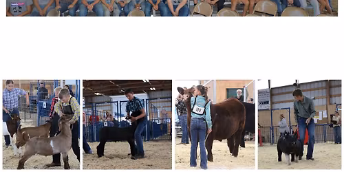 Swine Showmanship and Care Clinic 