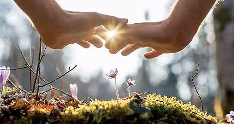 Reiki 1st Degree Workshop