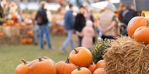 Fall Festivus for the Rest of Us