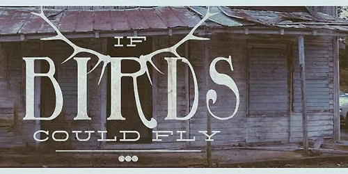 If Birds Could Fly