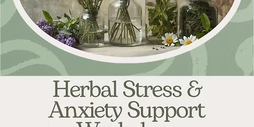 Herbal Stress and Anxiety Support Workshop