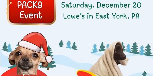 PACK9 December Event