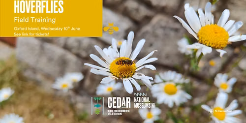 NI Hoverfly Identification Course