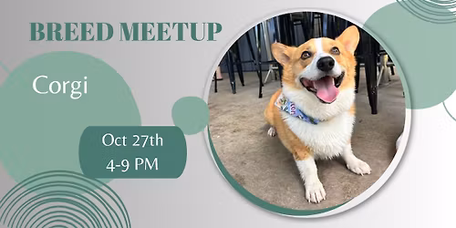 \ud83d\udc3e Corgi Breed Meetup at Broken Leash