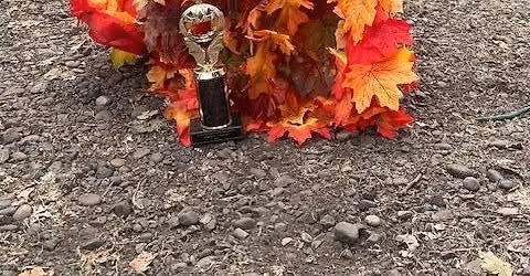 Halloween Swamp Meet at Oaks Amusement Park