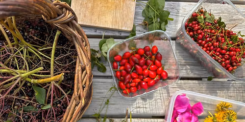 \u201cBountiful Berries\u201d Autumn Forage at Carswell Farm