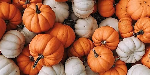 Brew and Boo - Pumpkin Painting Competition