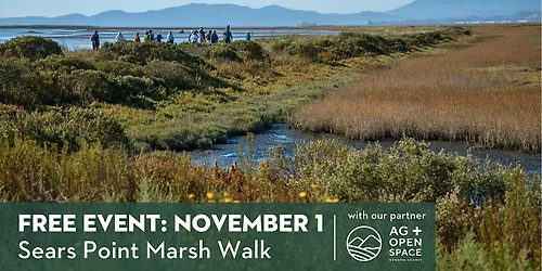 Sears Point Marsh Walk 11-1-25
