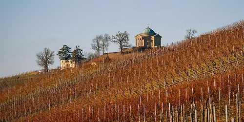 Herbstzauber: Uhlbacher Weinbergen \u2013Weingenuss und kulinarische Traditition