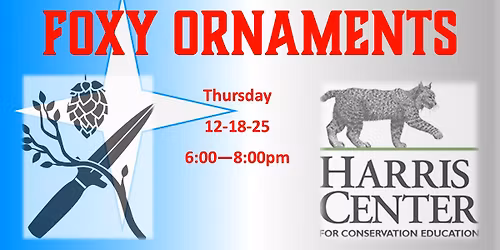 Foxy Ornaments - Charity Painting Event