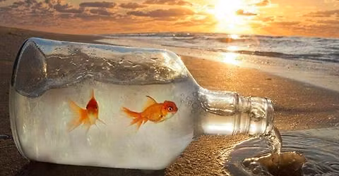 \u0421\u0418\u0421\u0422\u0415\u041c\u041d\u042b\u0415 \u0420\u0410\u0421\u0421\u0422\u0410\u041d\u041e\u0412\u041a\u0418 \u0432 Raleigh (North Carolina)