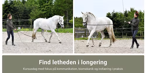 Find letheden i longering (Kursusdag m. demoheste)