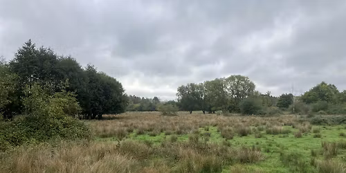 Lakeside Volunteers 5th November