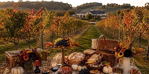 Fall Harvest Vineyard PicnicTable, a Seasonal Vineyard Pairing Experience
